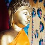Groepslogo van Vipassana en abhidhamma
